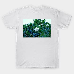 Maui Resort Study 10 T-Shirt